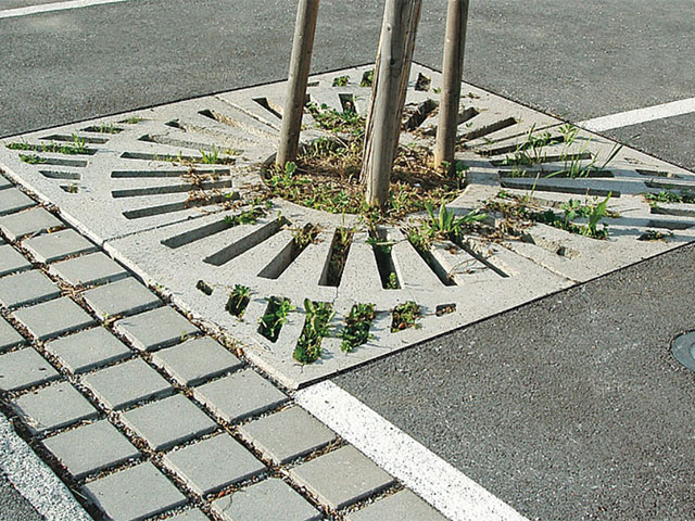 Baumscheiben
