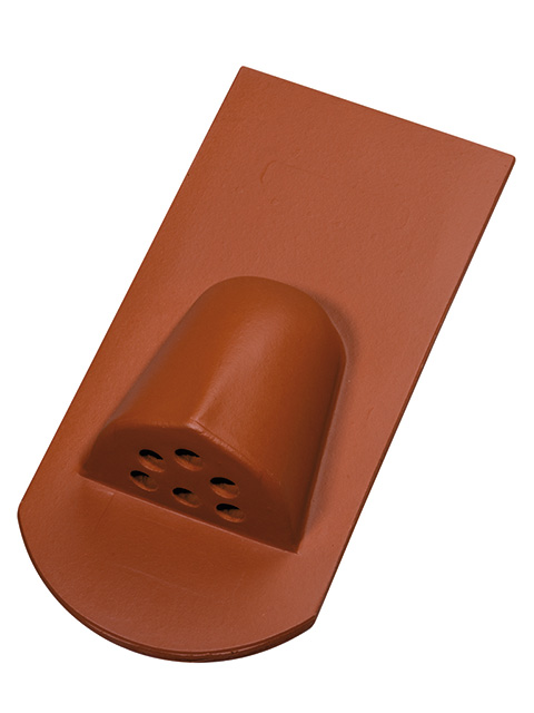 Biber Entlüfter mit Gaube Geradschnitt